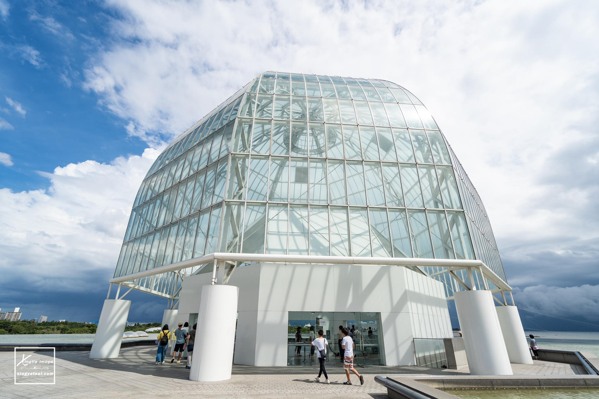 日本東京 親子景點推薦 葛西臨海水族園 與浪漫摩天輪相依的海中世界 快門下的幸福